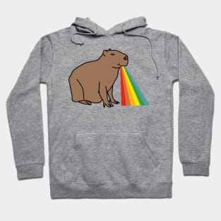 Animals with Rainbow Puke Happy Capybara Hoodie
